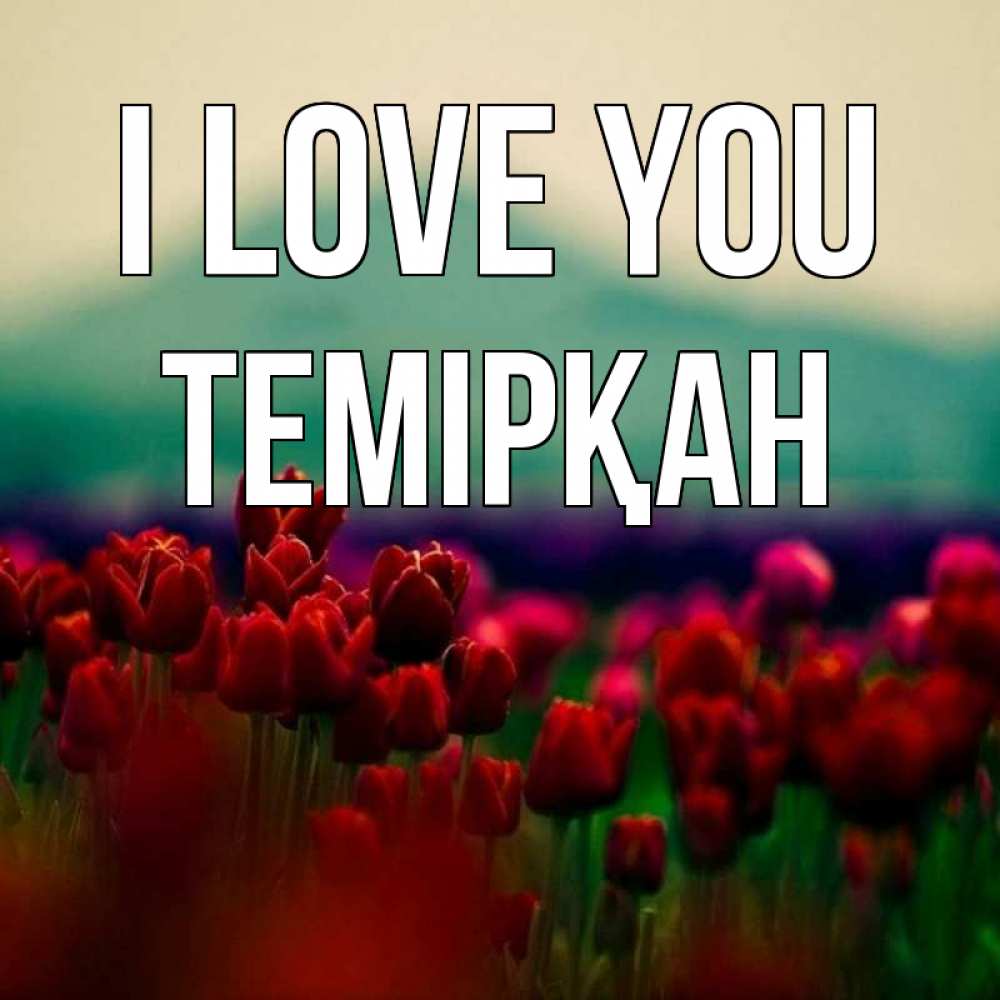 Greetings card с именем, ТЕМІРҚАН I love you тюльпаны 4 Greetings with text for free download 