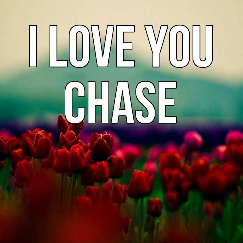 Greetings card с именем, Chase I love you тюльпаны 4 Greetings with text for free download 