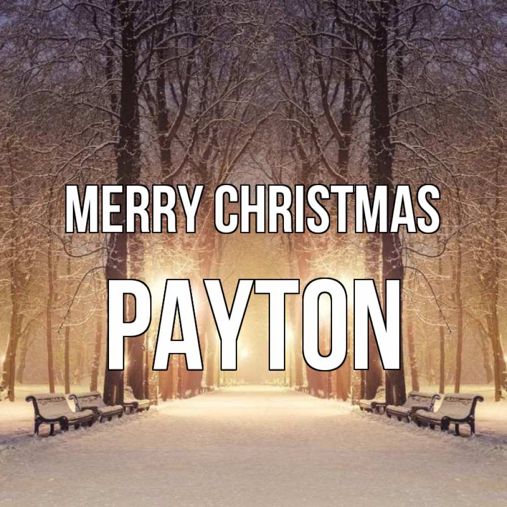 Greetings card с именем, Payton Merry Christmas зима, парк, фонарь, лес Greetings with text for free download 
