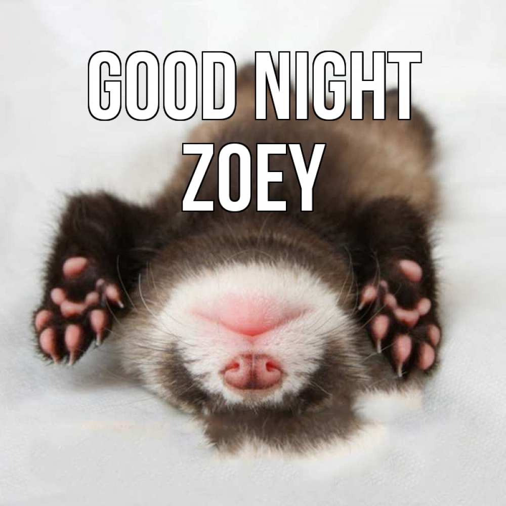 Greetings card с именем, Zoey Good night зверек Greetings with text for free download 