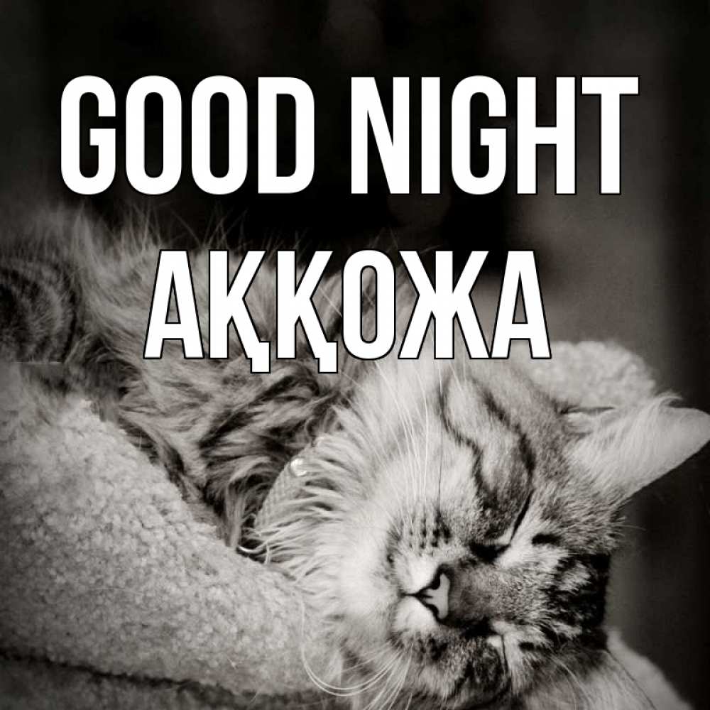 Greetings card с именем, Аққожа Good night котярик пушистый Greetings with text for free download 