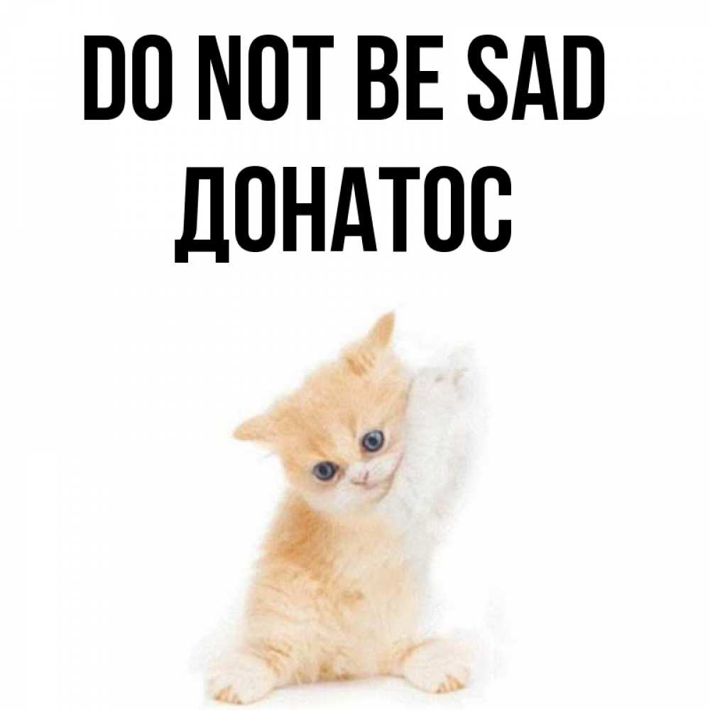 Greetings card с именем, Донатос Do not be sad просящий кот Greetings with text for free download 