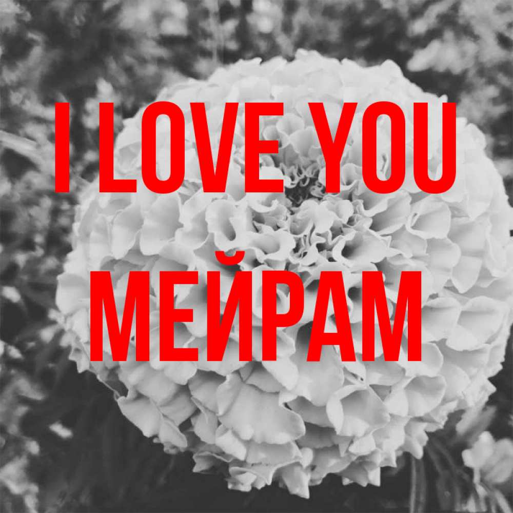 Greetings card с именем, МЕЙРАМ I love you подпись Greetings with text for free download 