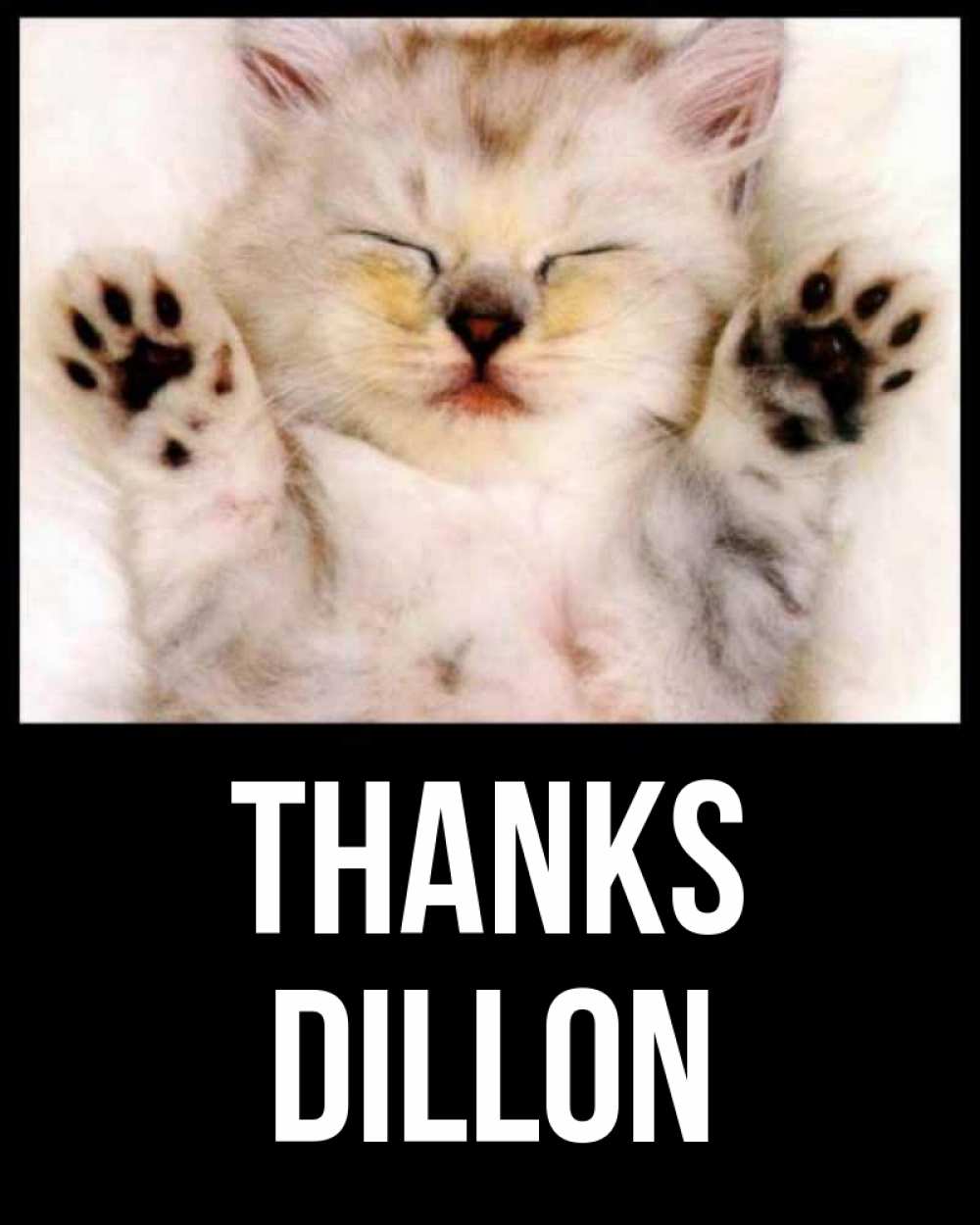 Greetings card с именем, Dillon Thanks маленький котенок Greetings with text for free download 