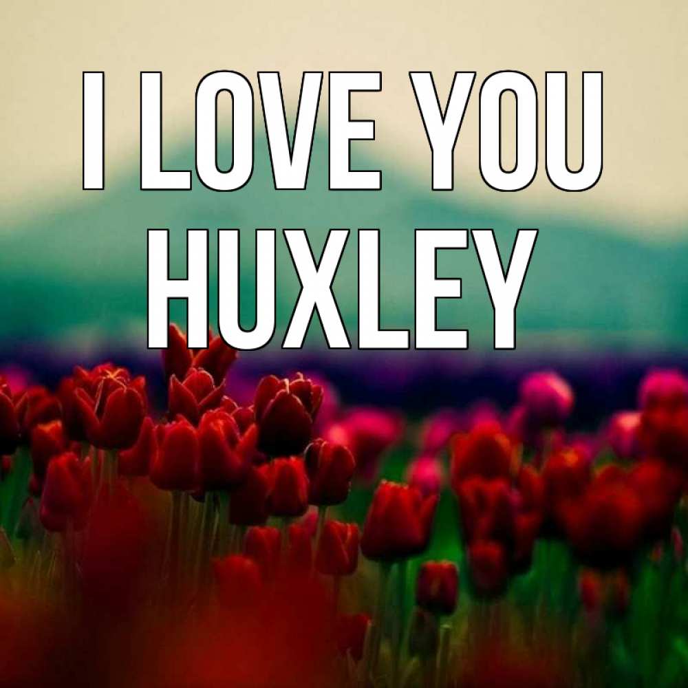 Greetings card с именем, Huxley I love you тюльпаны 4 Greetings with text for free download 