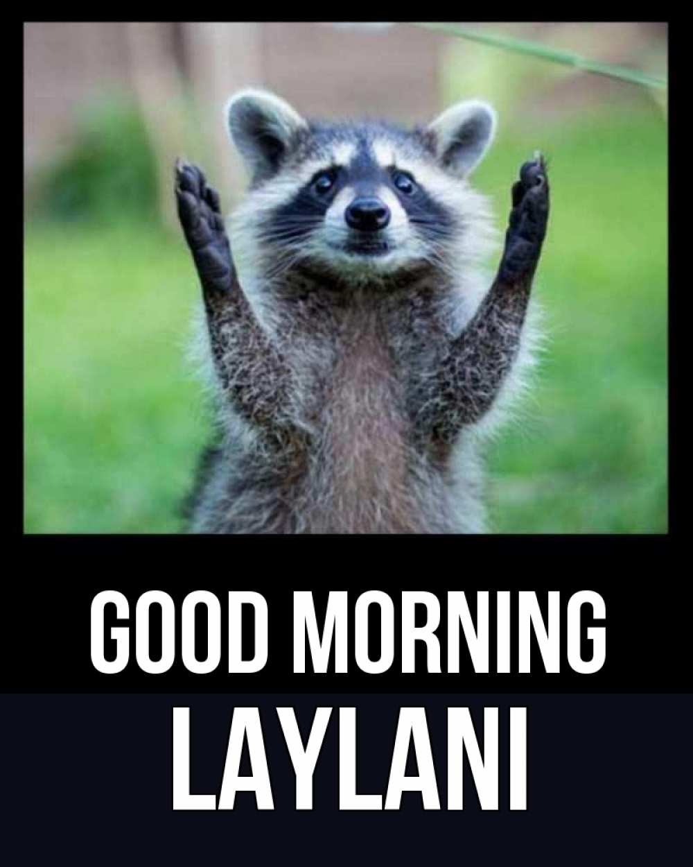 Greetings card с именем, Laylani Good morning хорошее настроение утречком Greetings with text for free download 