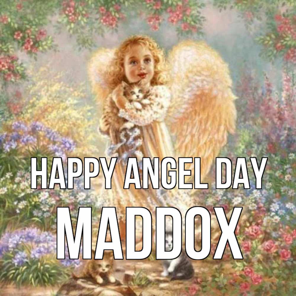 Greetings card с именем, Maddox happy angel day держит котенка Greetings with text for free download 