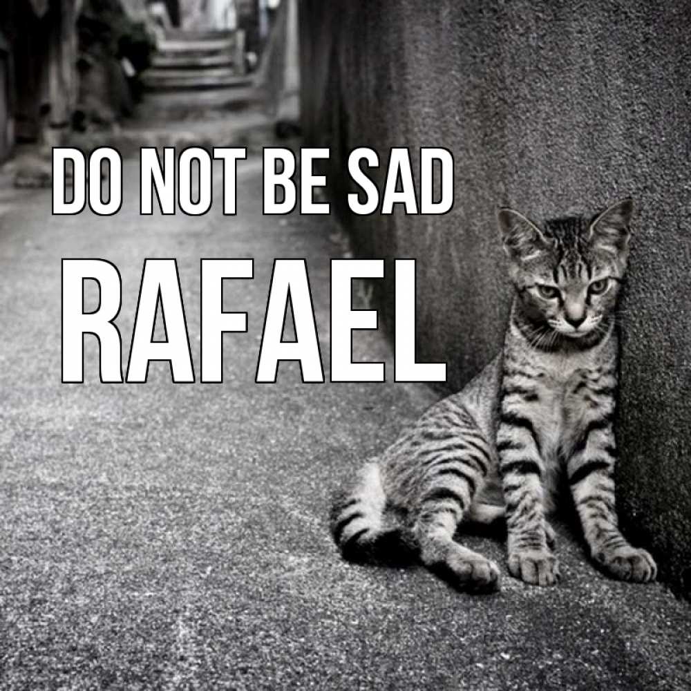 Greetings card с именем, Rafael Do not be sad скучающий котик Greetings with text for free download 