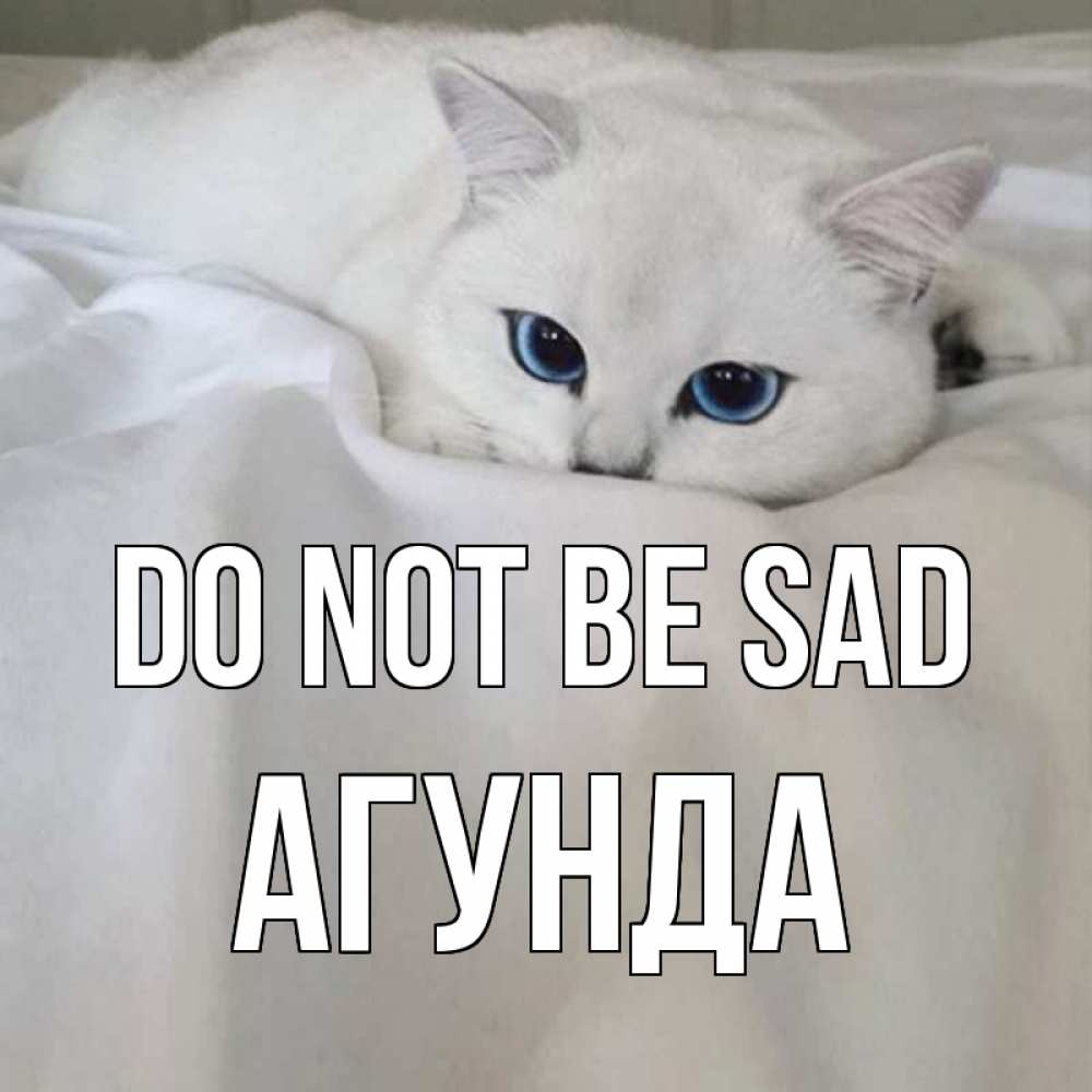 Greetings card с именем, Агунда Do not be sad белый кот с голубыми глазами на белоснежной кровати Greetings with text for free download 