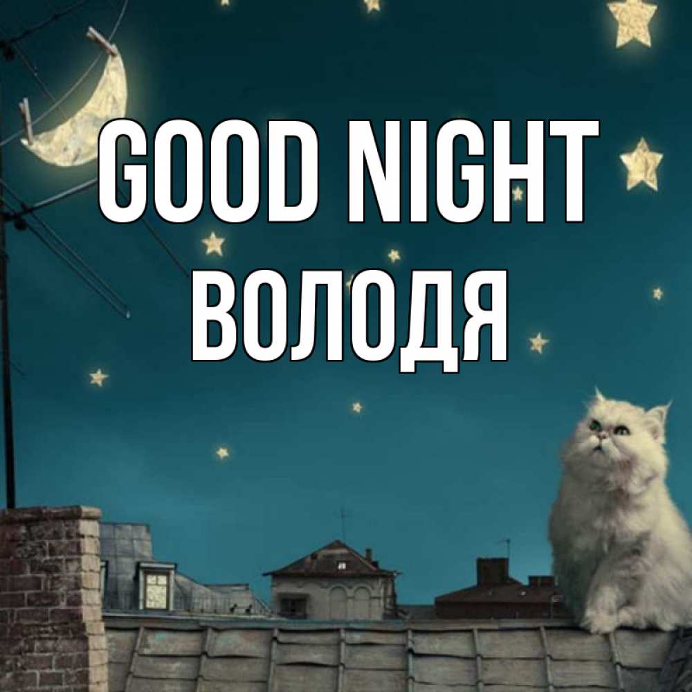 Greetings card с именем, Володя Good night белый кот сидит на крыше Greetings with text for free download 