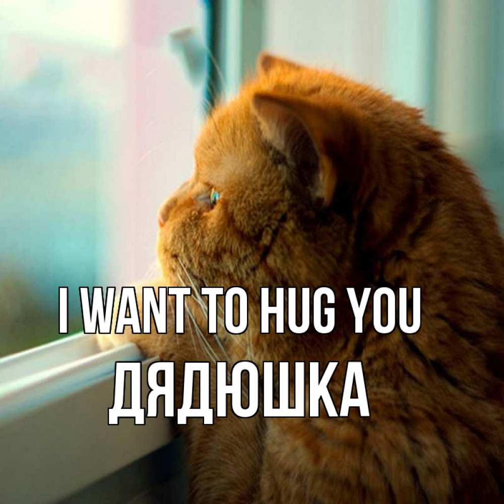 Greetings card с именем, Дядюшка I want to hug you большой огромный рыжий котяра Greetings with text for free download 