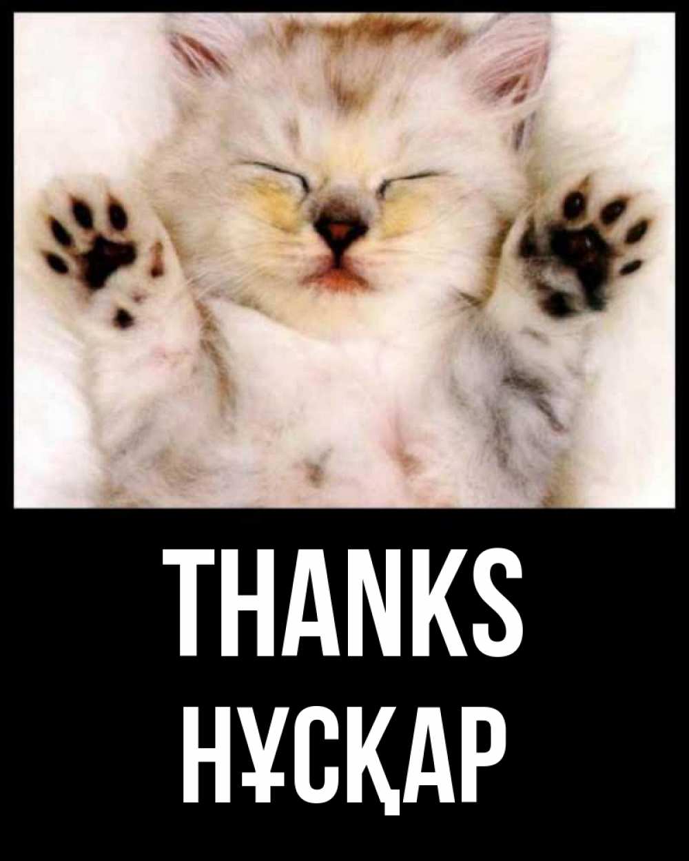 Greetings card с именем, НҰСҚАР Thanks маленький котенок Greetings with text for free download 