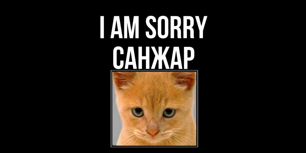 Greetings card с именем, САНЖАР I am sorry рыжий грустный кот просит прощения Greetings with text for free download 