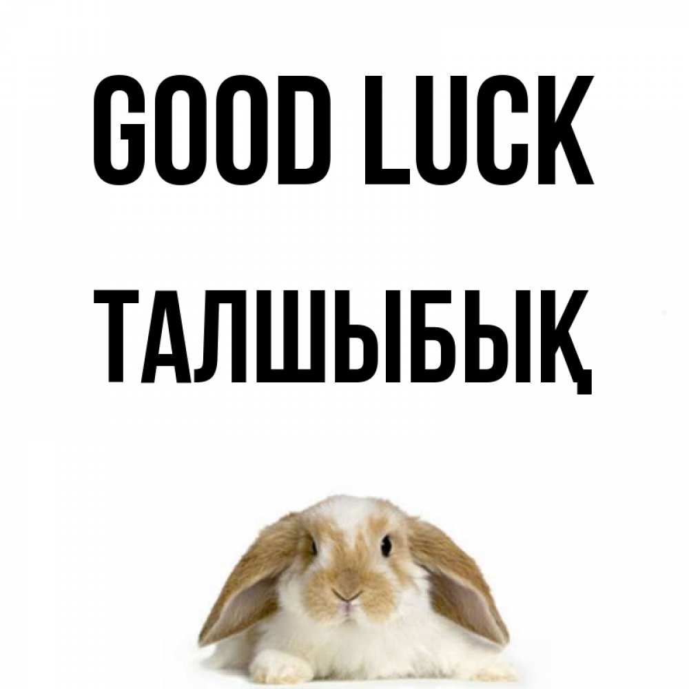 Greetings card с именем, ТАЛШЫБЫҚ Good luck открытки с произвольным текстом который можно вставить в открытку и создать ее самостоятельно бесплатно онлайн Greetings with text for free download 