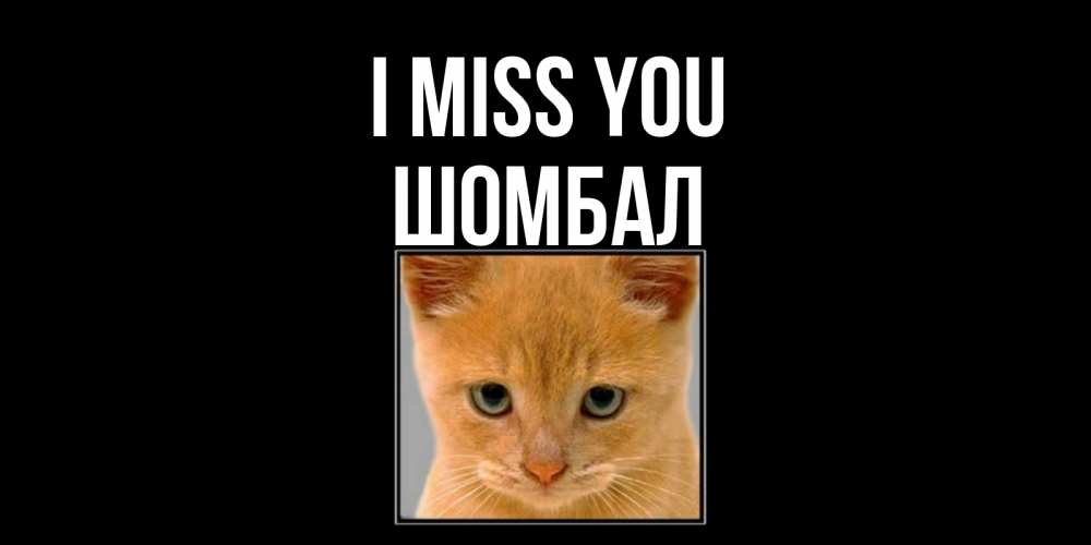 Greetings card с именем, ШОМБАЛ I miss you открытки рыжий котенок скучает по тебе Greetings with text for free download 