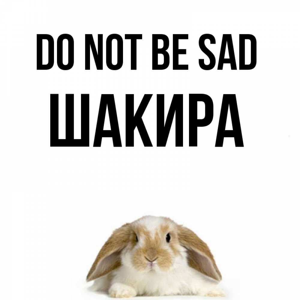 Greetings card с именем, Шакира Do not be sad коричнево белый заяц с большими ушками Greetings with text for free download 