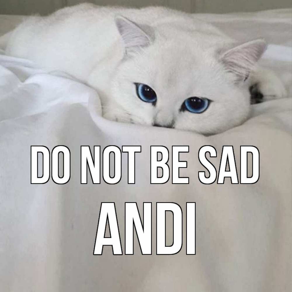Greetings card с именем, Andi Do not be sad белый кот с голубыми глазами на белоснежной кровати Greetings with text for free download 