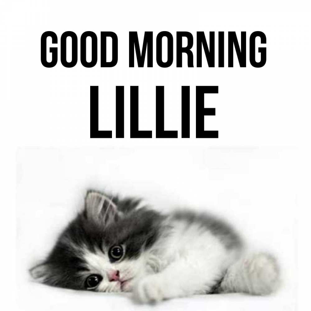 Greetings card с именем, Lillie Good morning кот лапки Greetings with text for free download 
