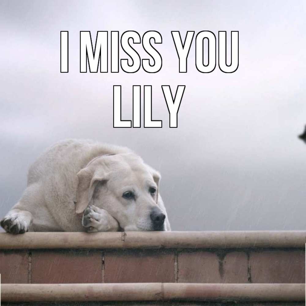Greetings card с именем, Lily I miss you ждет Greetings with text for free download 