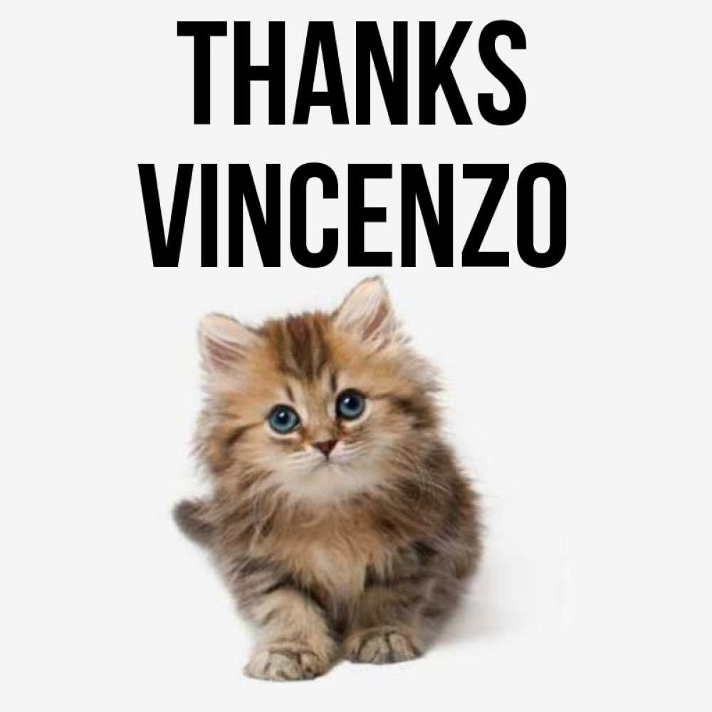Greetings card с именем, Vincenzo Thanks пушистый котик Greetings with text for free download 