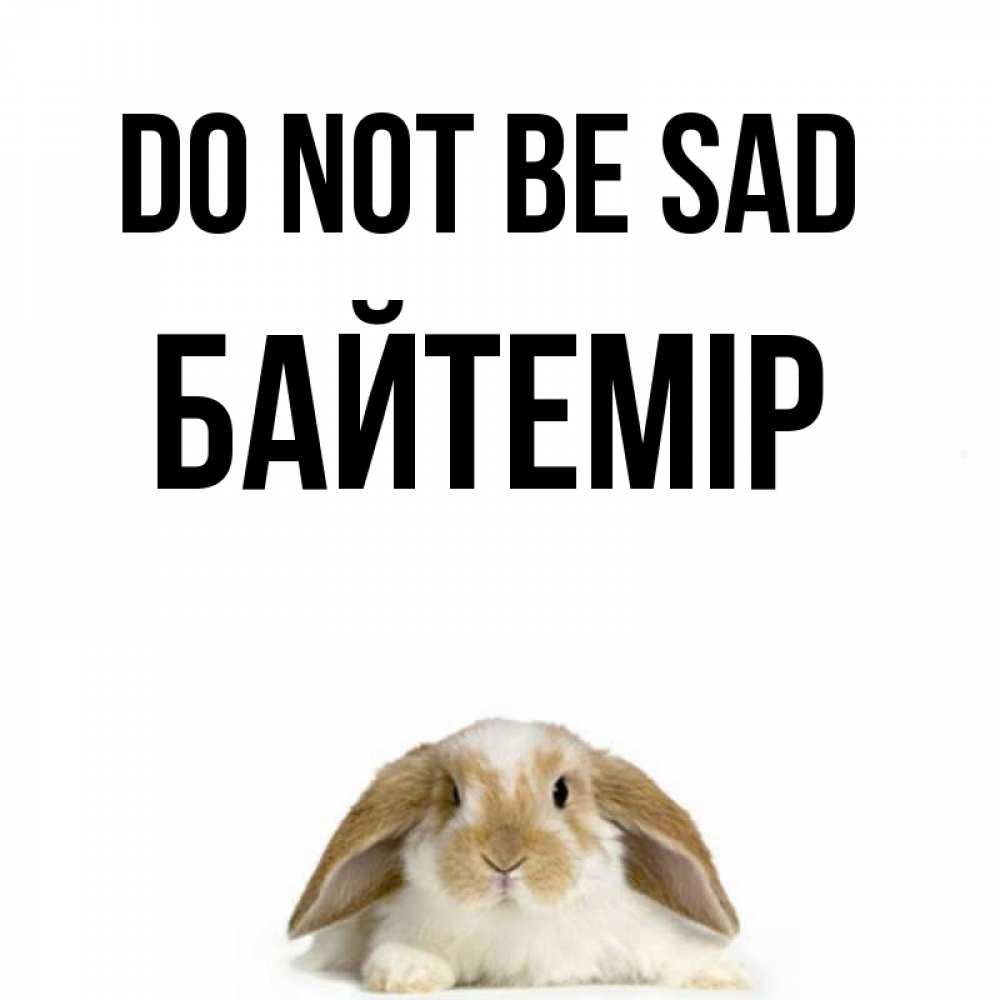 Greetings card с именем, Байтемір Do not be sad коричнево белый заяц с большими ушками Greetings with text for free download 