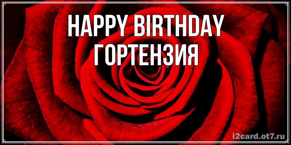 Greetings card с именем, Гортензия Happy Birthday алая роза Greetings with text for free download 