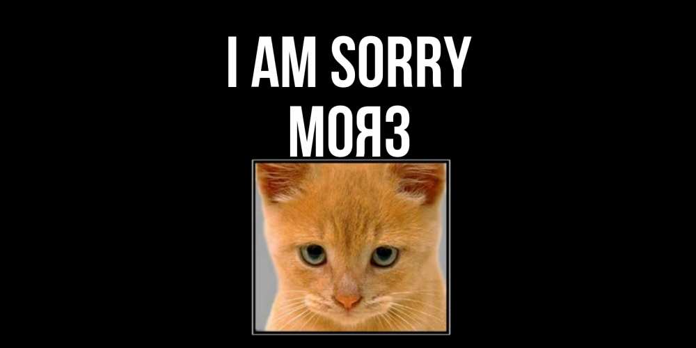 Greetings card с именем, МОЯЗ I am sorry рыжий грустный кот просит прощения Greetings with text for free download 