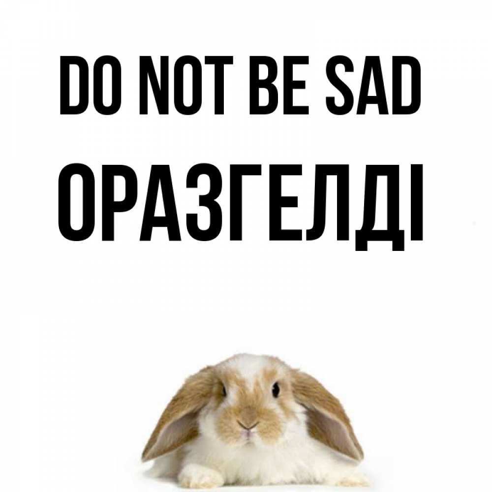 Greetings card с именем, ОРАЗГЕЛДІ Do not be sad коричнево белый заяц с большими ушками Greetings with text for free download 