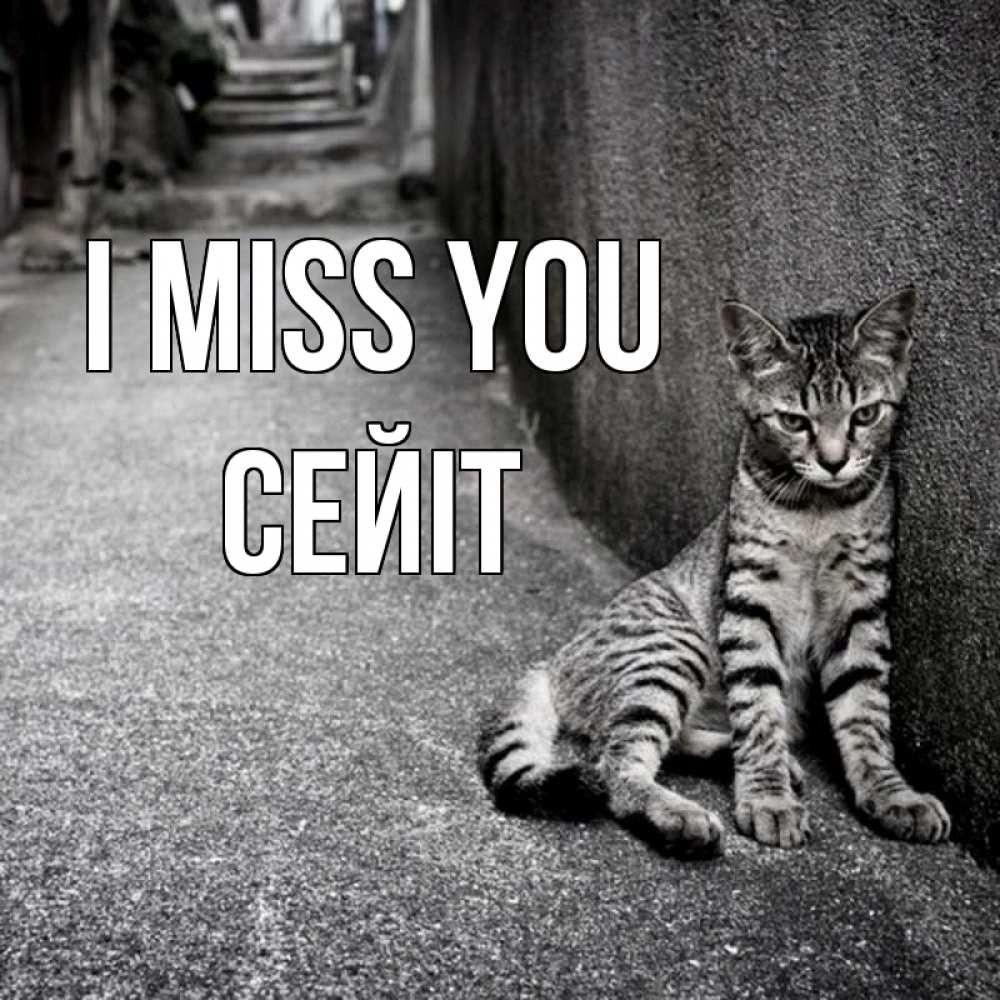 Greetings card с именем, СЕЙІТ I miss you одиноко котику Greetings with text for free download 