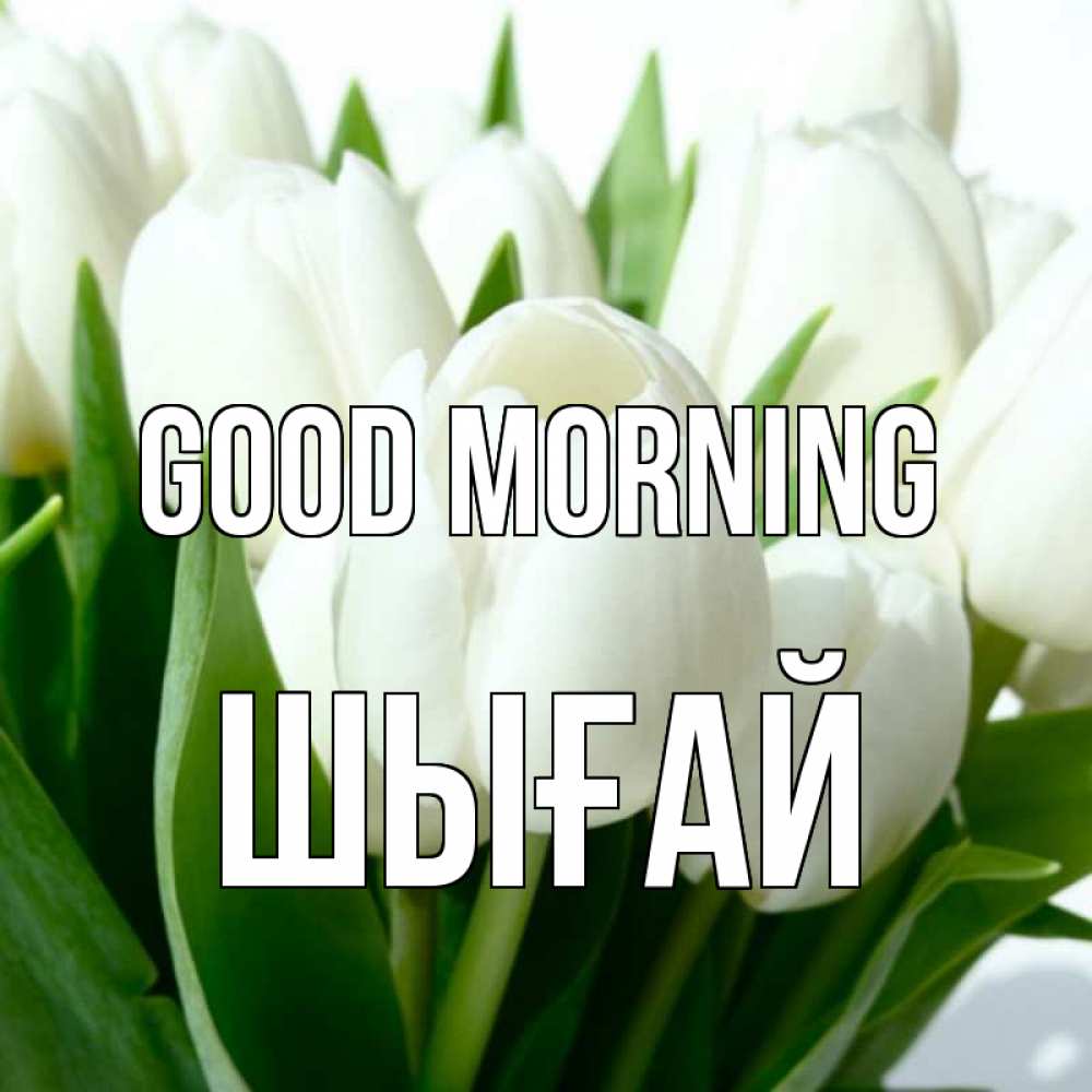 Greetings card с именем, ШЫҒАЙ Good morning открытки на каждый день по именам Greetings with text for free download 