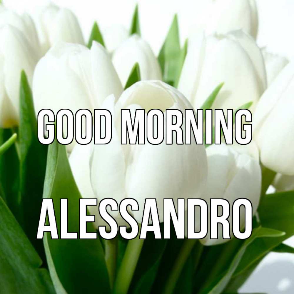 Greetings card с именем, Alessandro Good morning открытки на каждый день по именам Greetings with text for free download 