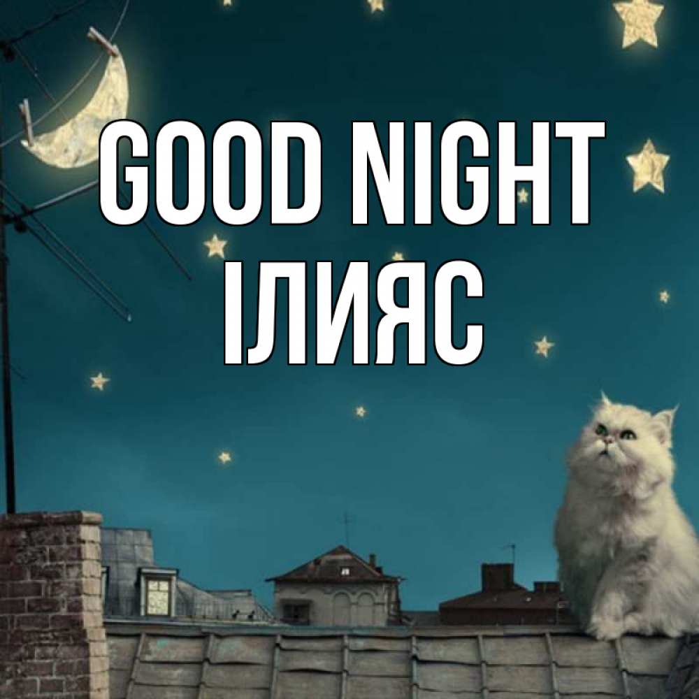Greetings card с именем, ІЛИЯС Good night белый кот сидит на крыше Greetings with text for free download 