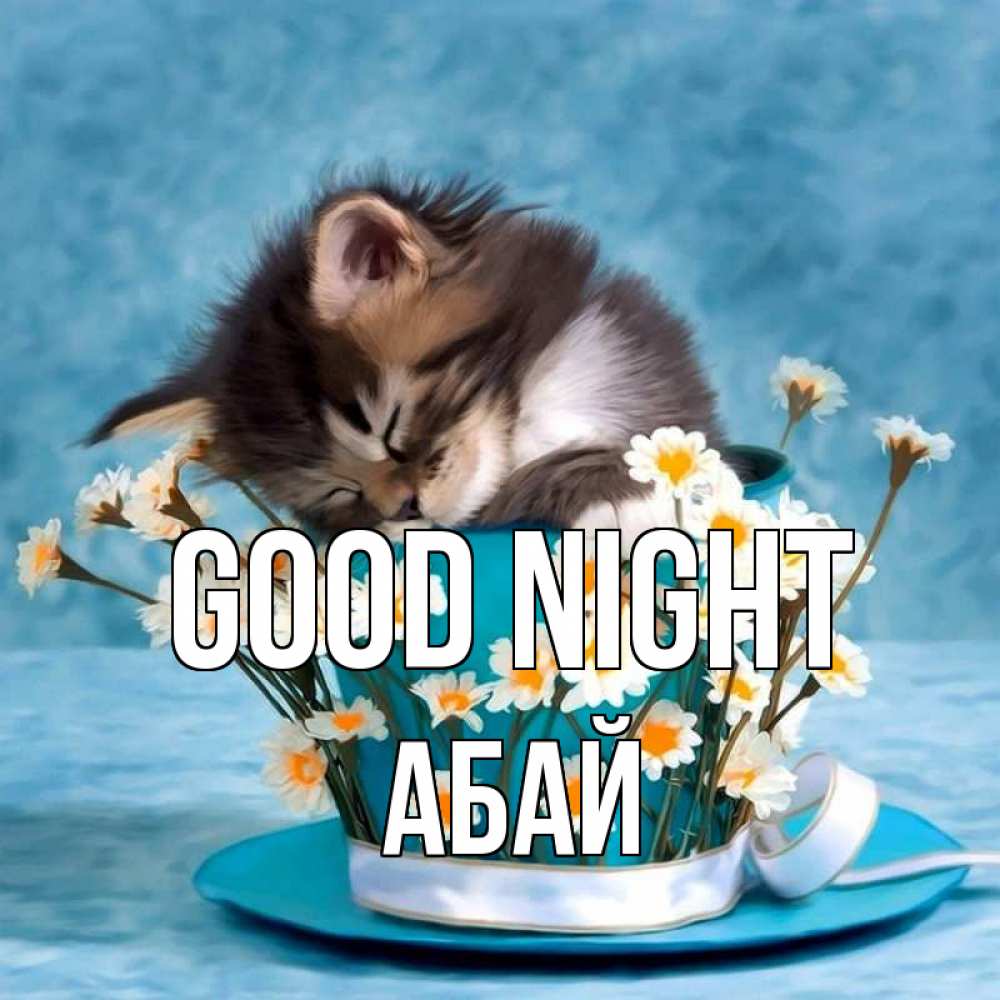 Greetings card с именем, Абай Good night котенок спит в кружке с блюдцем Greetings with text for free download 