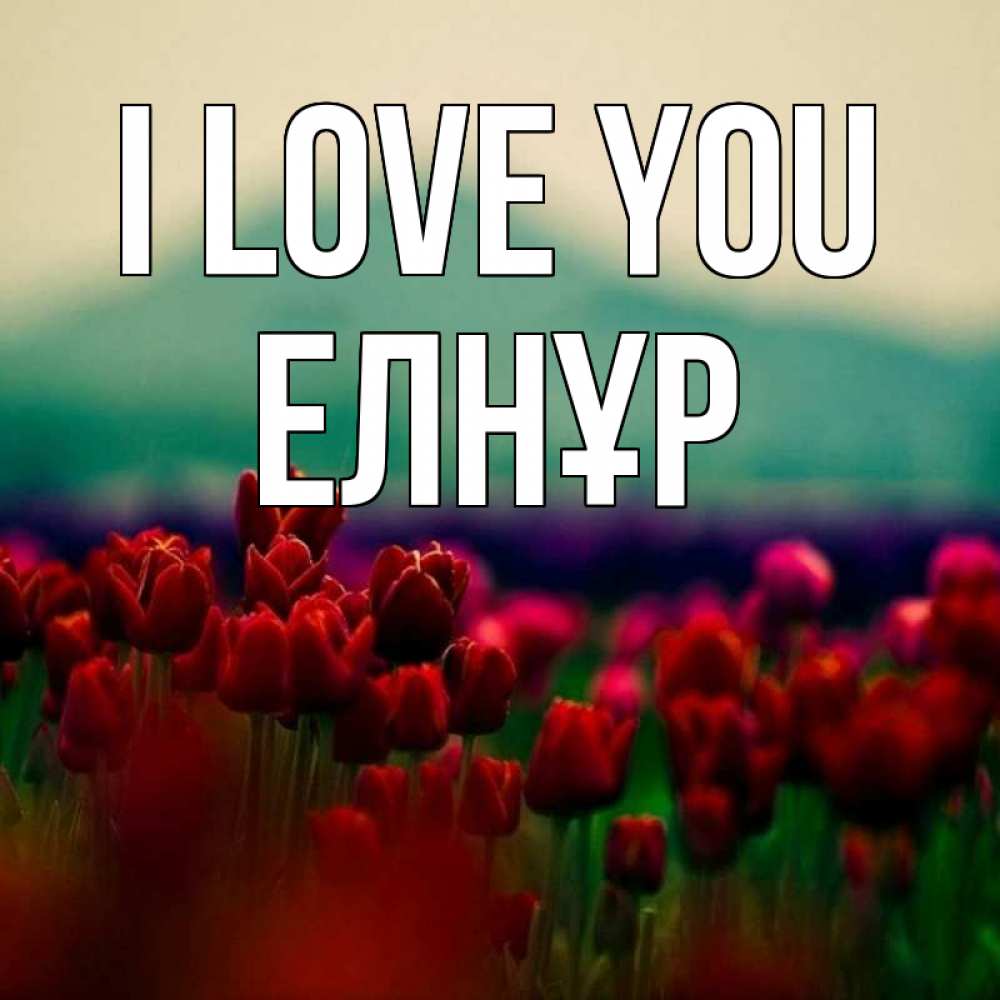 Greetings card с именем, Елнұр I love you тюльпаны 4 Greetings with text for free download 