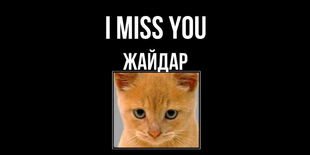 Greetings card с именем, Жайдар I miss you открытки рыжий котенок скучает по тебе Greetings with text for free download 