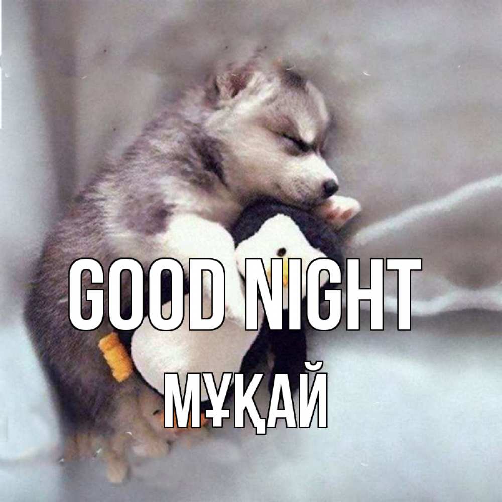 Greetings card с именем, Мұқай Good night обнимашки щенка и пингвина Greetings with text for free download 
