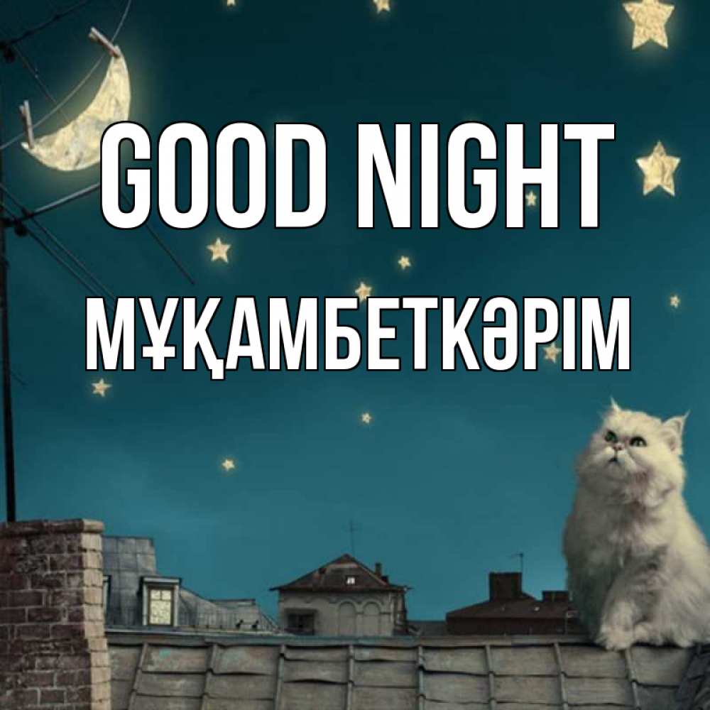 Greetings card с именем, Мұқамбеткәрім Good night белый кот сидит на крыше Greetings with text for free download 