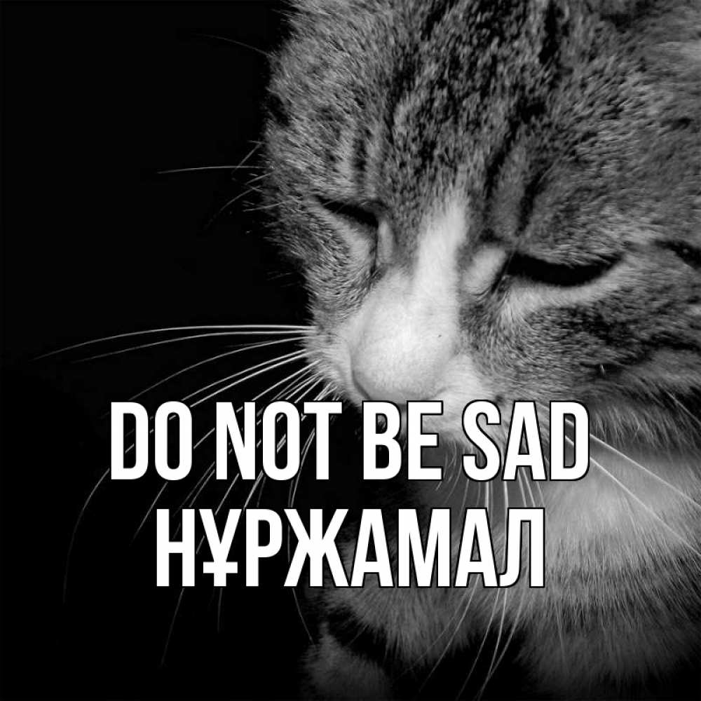 Greetings card с именем, НҰРЖАМАЛ Do not be sad грустный котик Greetings with text for free download 