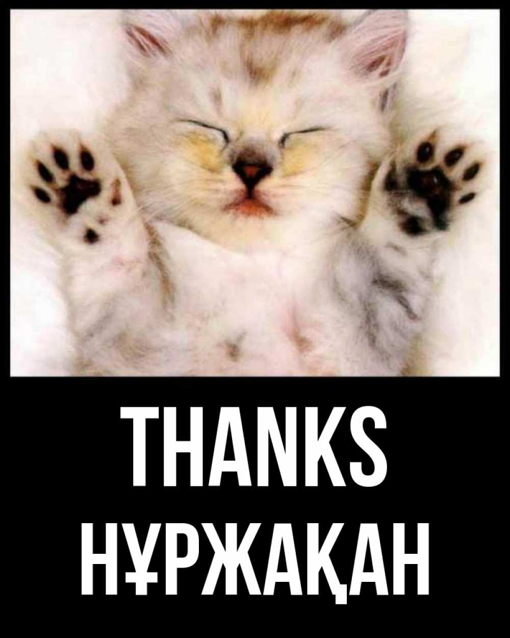 Greetings card с именем, НҰРЖАҚАН Thanks маленький котенок Greetings with text for free download 