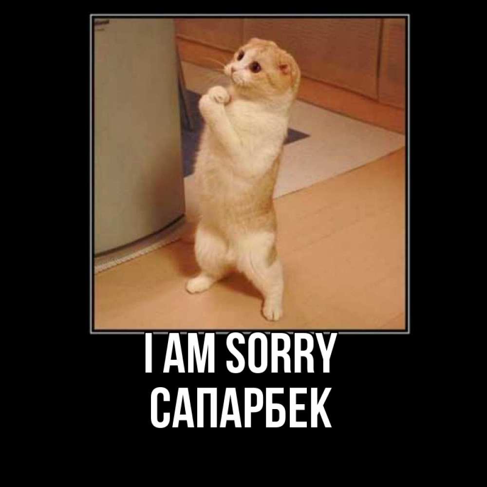 Greetings card с именем, САПАРБЕК I am sorry открытка с милым несчастным котиком просящим прощения Greetings with text for free download 