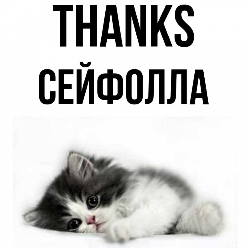 Greetings card с именем, СЕЙФОЛЛА Thanks черный и белый кот Greetings with text for free download 