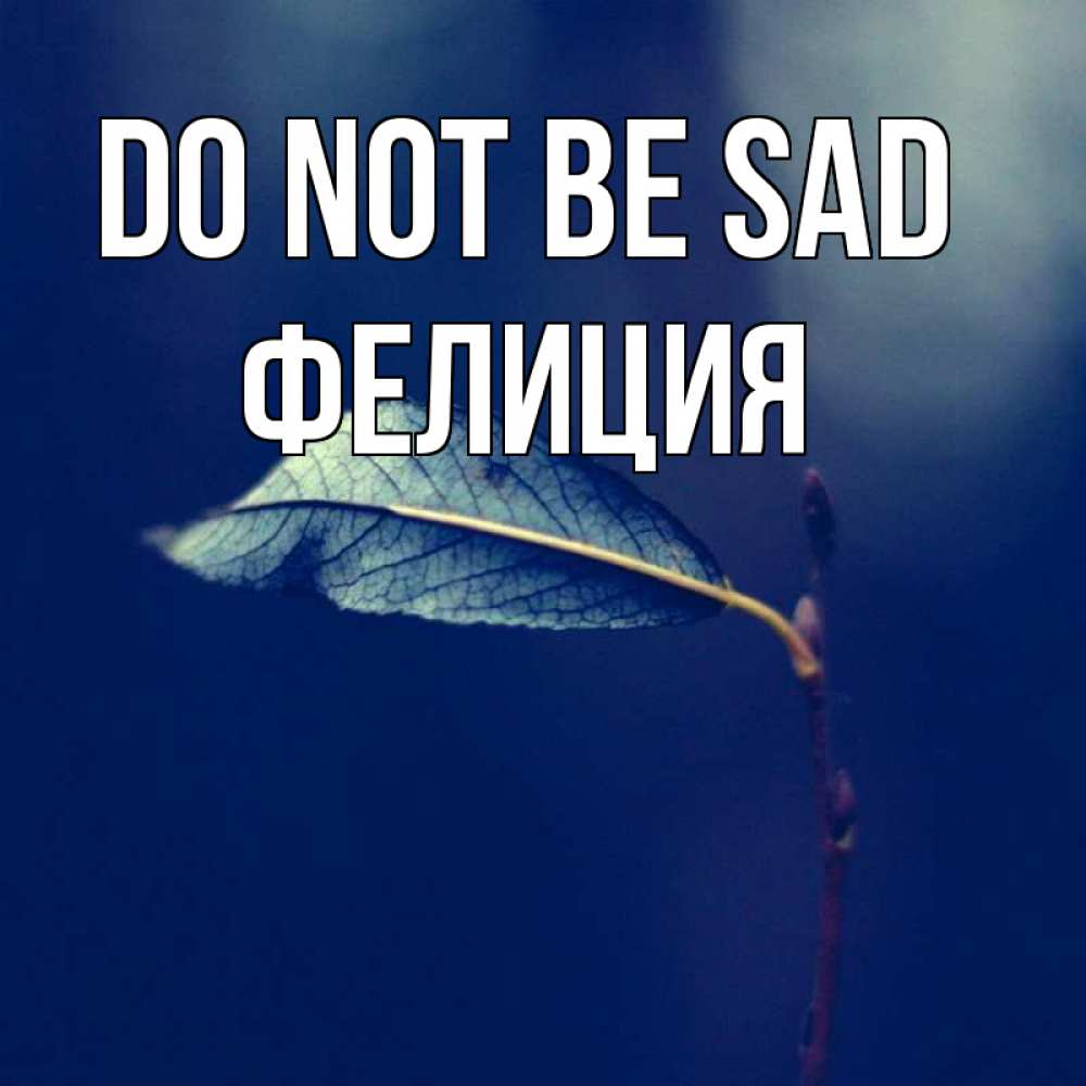 Greetings card с именем, Фелиция Do not be sad растение Greetings with text for free download 