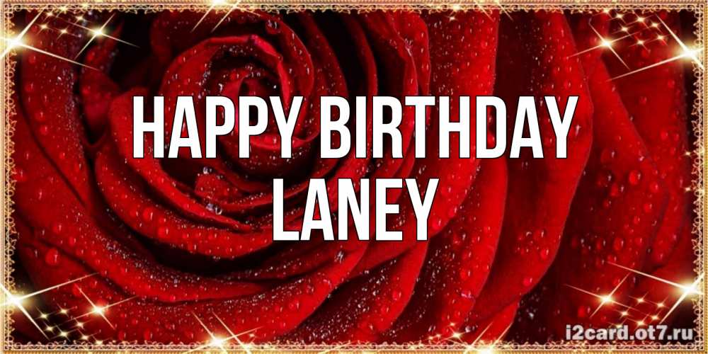 Greetings card с именем, Laney Happy Birthday роса на розе блестящая в лучах солнца Greetings with text for free download 