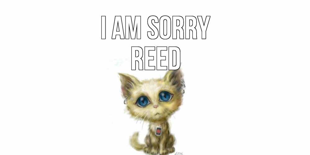 Greetings card с именем, Reed I am sorry прости меня открытка с котиком Greetings with text for free download 