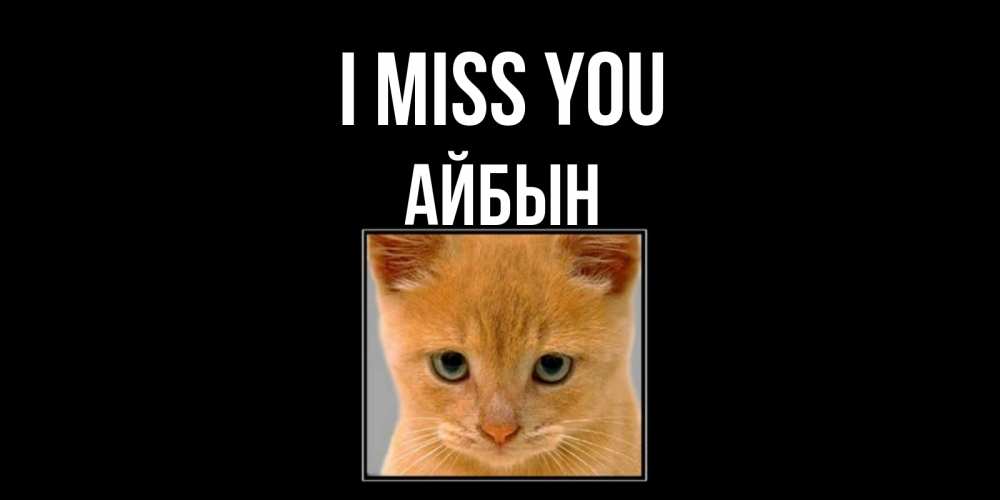 Greetings card с именем, Айбын I miss you открытки рыжий котенок скучает по тебе Greetings with text for free download 
