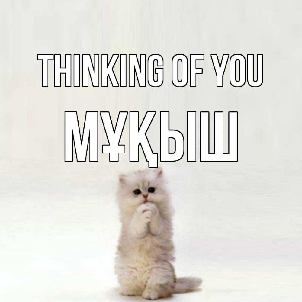 Greetings card с именем, Мұқыш Thinking of you кот стоит на задних лапах Greetings with text for free download 