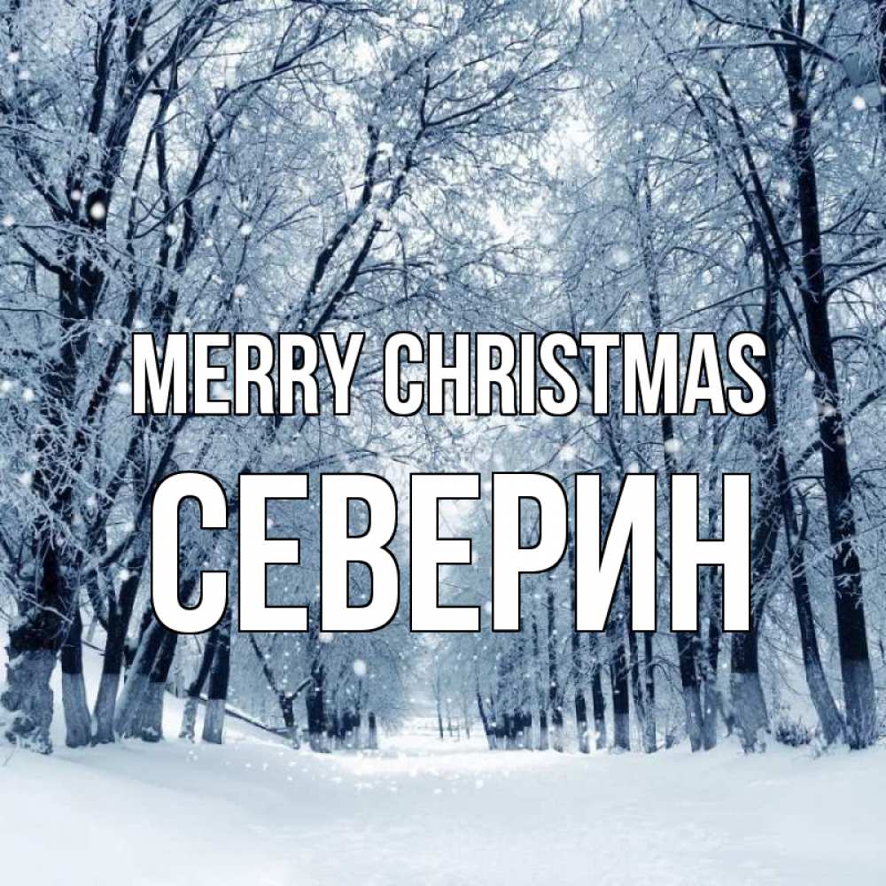 Greetings card с именем, Северин Merry Christmas снег, лес, парк Greetings with text for free download 