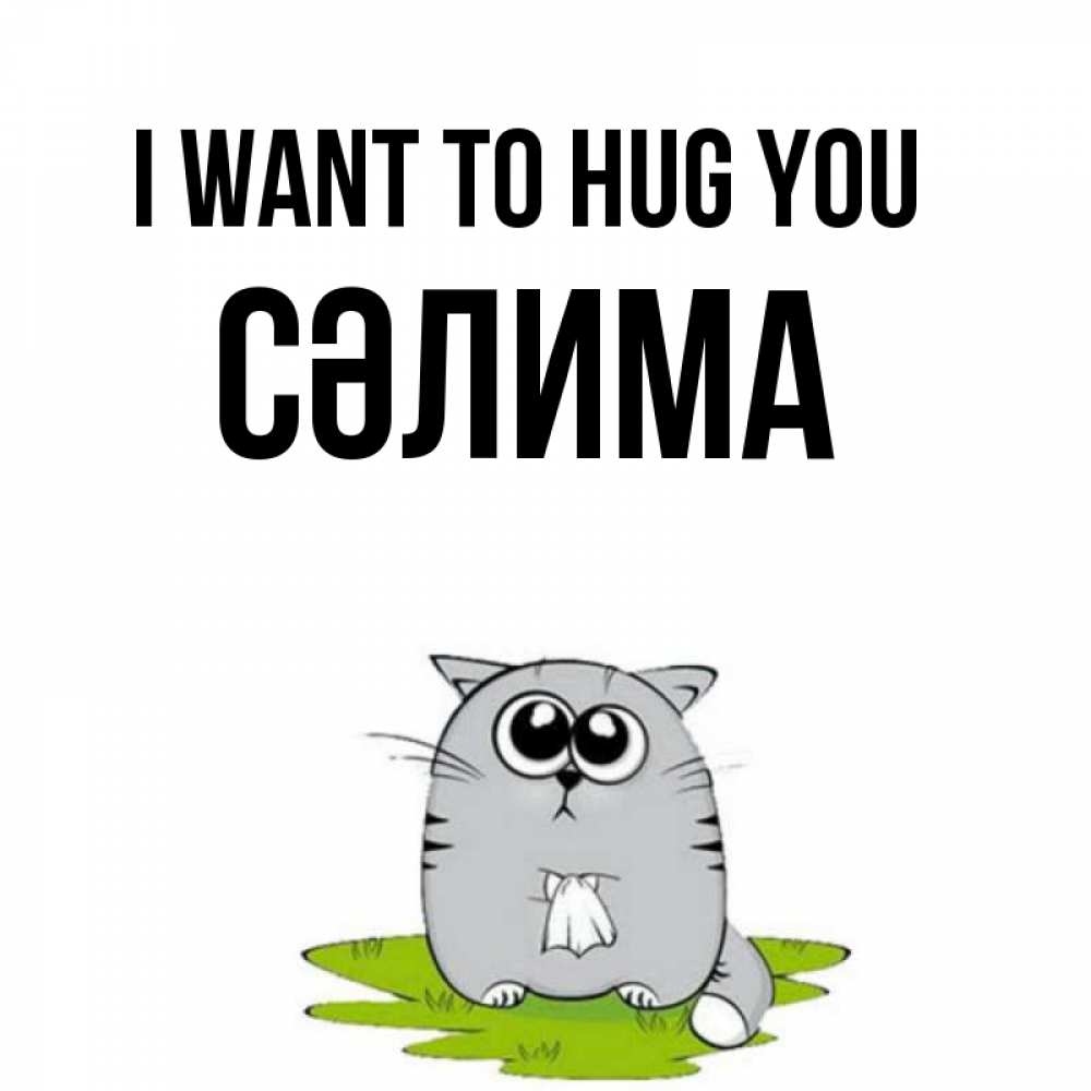 Greetings card с именем, СӘЛИМА I want to hug you котик теребит платочек сидя на травке Greetings with text for free download 