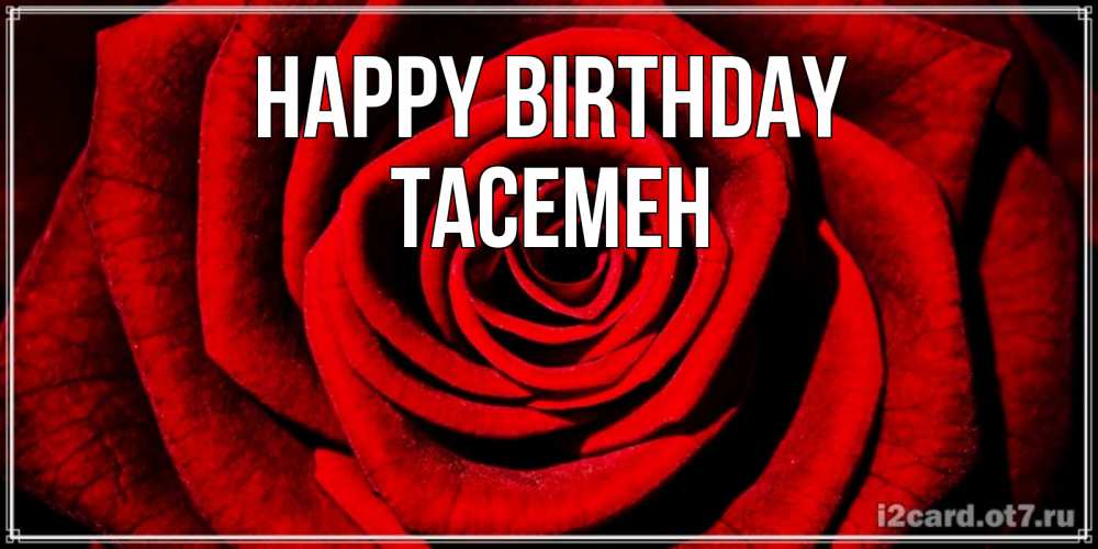 Greetings card с именем, ТАСЕМЕН Happy Birthday алая роза Greetings with text for free download 