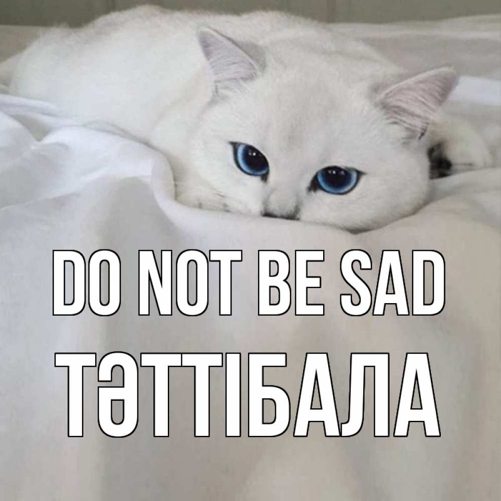 Greetings card с именем, ТӘТТІБАЛА Do not be sad белый кот с голубыми глазами на белоснежной кровати Greetings with text for free download 